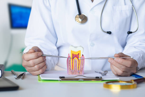 Best Emergency Dental Care for Abscessed Tooth in Karnes City, TX